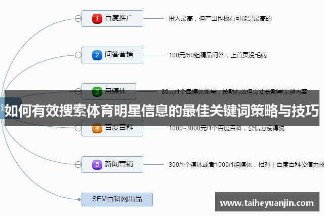 如何有效搜索体育明星信息的最佳关键词策略与技巧