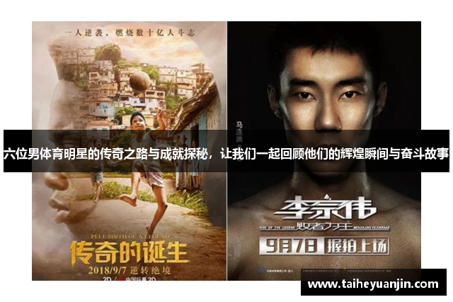 六位男体育明星的传奇之路与成就探秘，让我们一起回顾他们的辉煌瞬间与奋斗故事