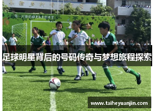 足球明星背后的号码传奇与梦想旅程探索